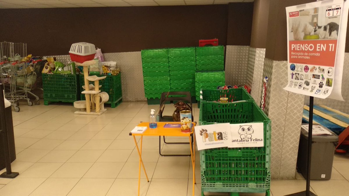 CantabriaFelina's tweet photo. Seguimos en el Eroski de Floranes recogiendo comida y arena para nuestros pequeños y también parra los perros de la @ProtectoraPATAS 
Estaremos hoy todo el día.
Os esperamos a todos.
#7Nov #rt #COMPARTAMOS https://t.co/5igsGS1jwi