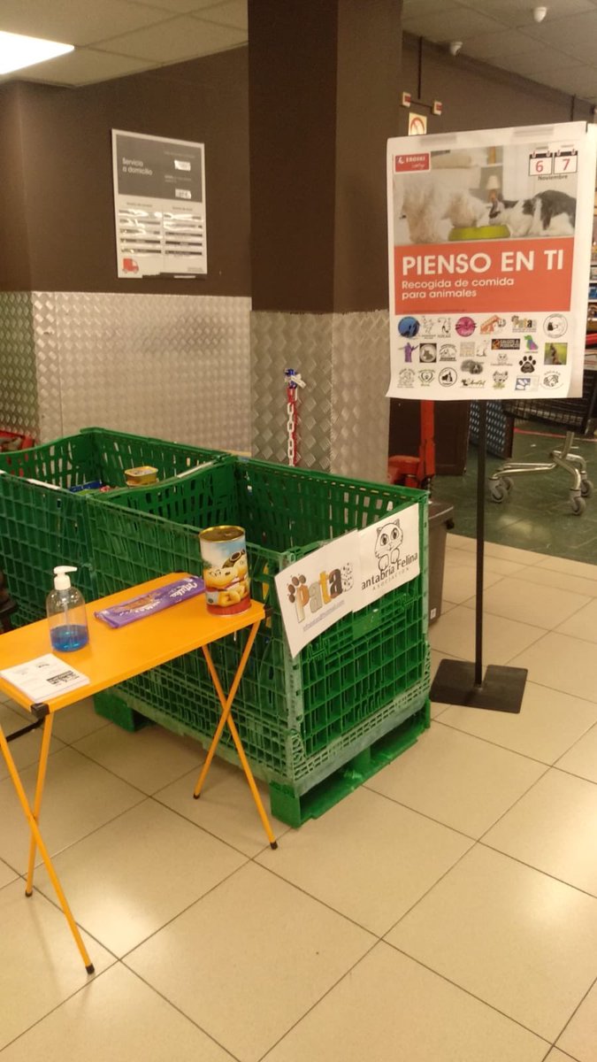 CantabriaFelina's tweet photo. Seguimos en el Eroski de Floranes recogiendo comida y arena para nuestros pequeños y también parra los perros de la @ProtectoraPATAS 
Estaremos hoy todo el día.
Os esperamos a todos.
#7Nov #rt #COMPARTAMOS https://t.co/5igsGS1jwi