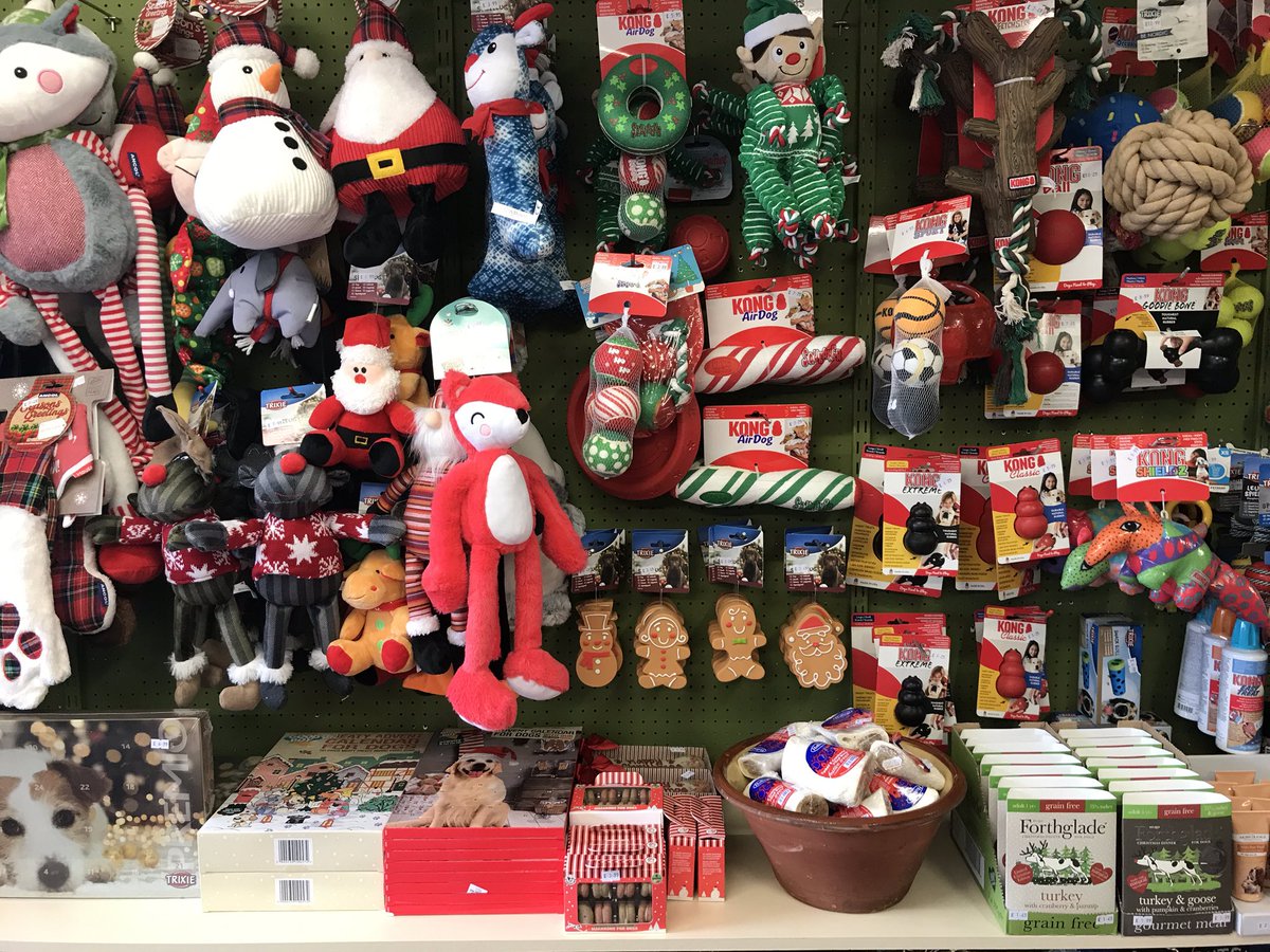 Christmas toy wall has made an appearance ...... #sheffieldissuper #DogsofTwittter #AdoptDontShop #dogs #SaturdayMotivation #shoplocal #Christmas2020 #ShopSmall #SaturdayThoughts 🐶🧸🎅🎄