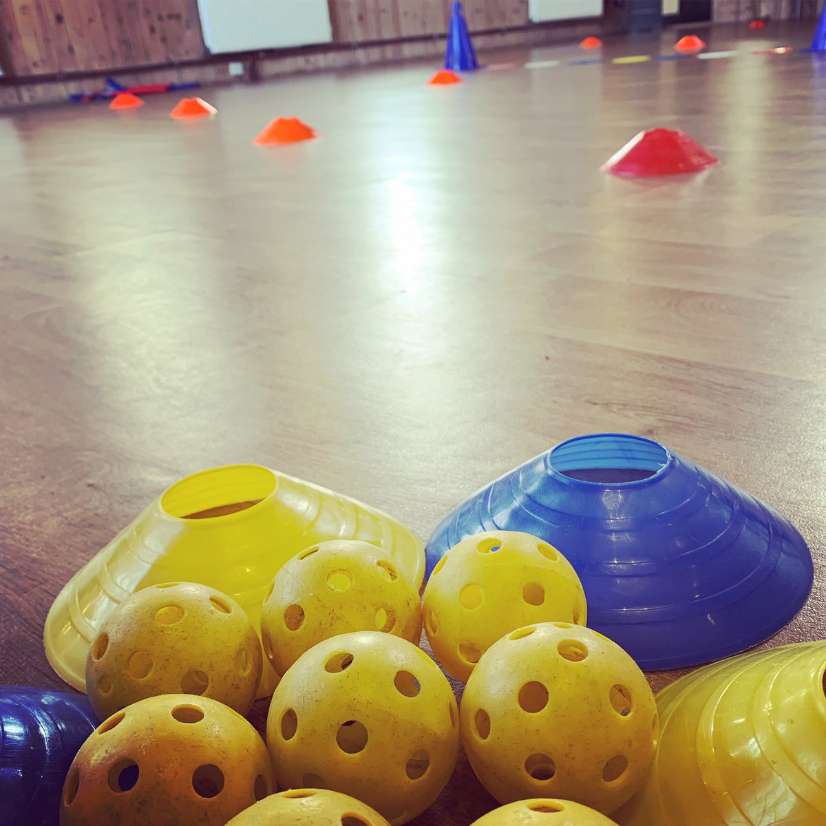 ProTotSports's tweet photo. Itโs safe to say our Head Coach is absolutely exhausted after a particularly chaotic morning of Weekend ProTot Sports!๐ฅ๐๐ฅ
Well done to all our WPTS ProTots, we hope everyone had a great time (parents included)!
#ProTotSports #RaisingTheBar! #WeekendPTS #Education #Support https://t.co/3GTo1cqLea