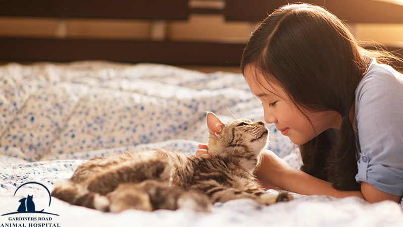 grahkingston's tweet image. Veterinary Service in Kingston: How a Pet Can Help Your Child Learn Responsibility

At Grah Kingston, we are providing quality Veterinary Service in Kingston.

blog.grahkingston.com/veterinary-ser…

For Inquiries:

grahkingston.com

#VeterinaryService
#VeterinaryServiceInKingston