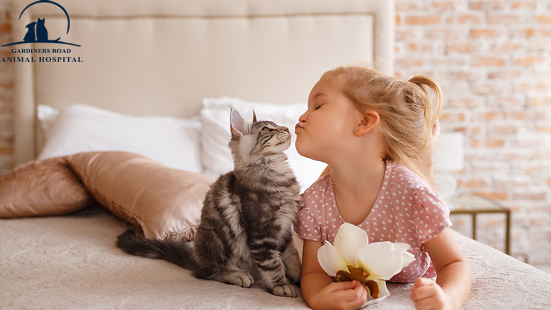 grahkingston's tweet image. Veterinary Service in Kingston: How a Pet Can Help Your Child Learn Responsibility

At Grah Kingston, we are providing quality Veterinary Service in Kingston.

blog.grahkingston.com/veterinary-ser…

For Inquiries:

grahkingston.com

#VeterinaryService
#VeterinaryServiceInKingston