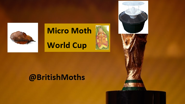 It's the time you've all been waiting here; the Micro Moth World Cup is here!

Over the coming weeks 16 species will battle it out to win this coveted prize. 

These beautiful little moths will hopefully lift our spirits in these most challenging of times. 

Let the games begin!