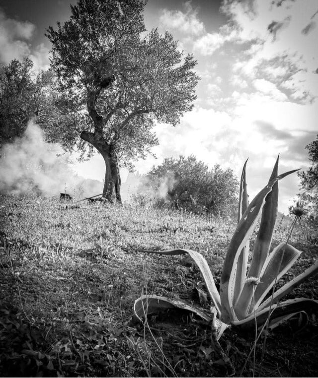 VillaLinakis's tweet photo. First day of second lockdown Greece.
#greece #lockdown #lockdowngreece #coronivirusgreece #corfu #villalinakis #lockdownphotography https://t.co/mBh2Isx6LM
