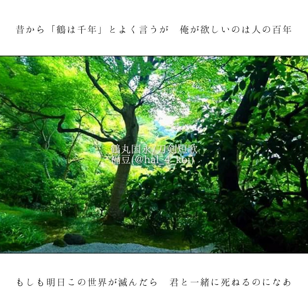 これは過去作

#鶴丸国永献上記念日2020
#刀剣短歌 