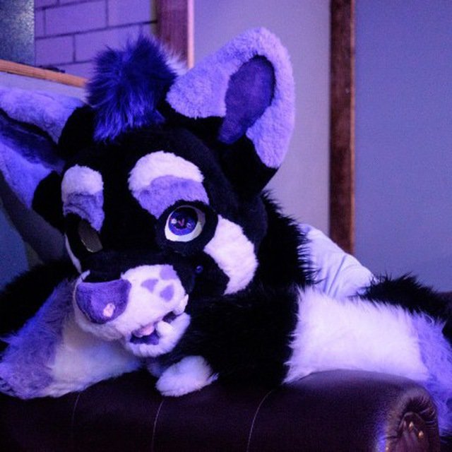 HaymakerEnzu's tweet image. #NewProfilePic