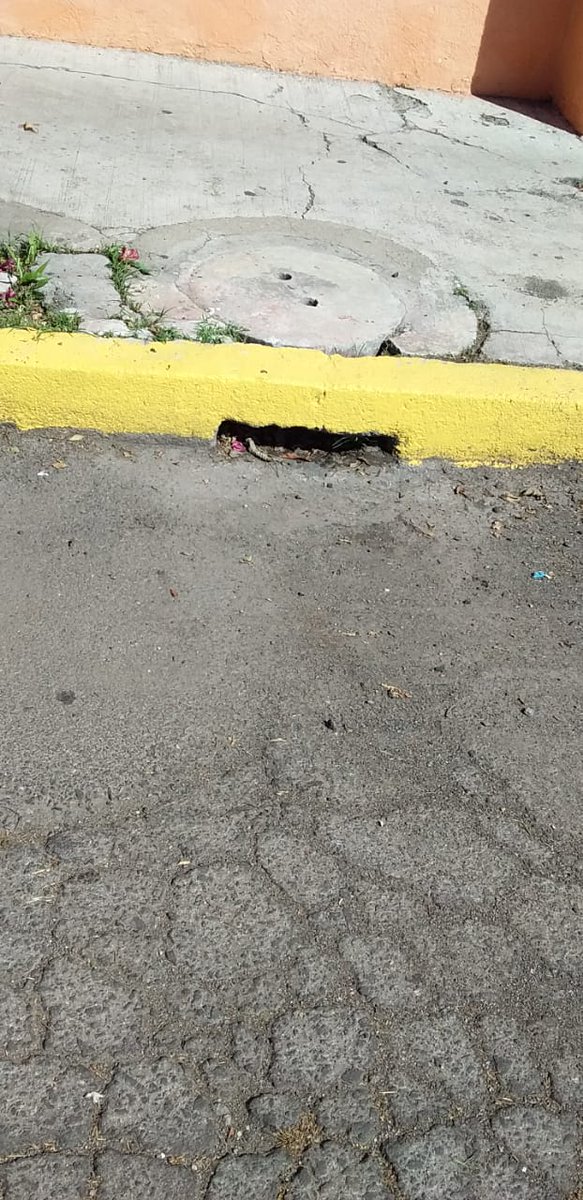 CMaestroFederal's tweet photo. Se dio atención a reportes de vecinos por alcantarillas en mal estado, agradecemos a @AguadePuebla por la gestión realizada para la repaciones. https://t.co/mXBCSjX9Sx