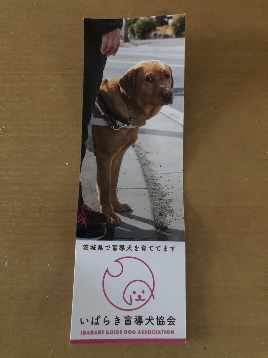 いばらき盲導犬協会 Hashtag On Twitter