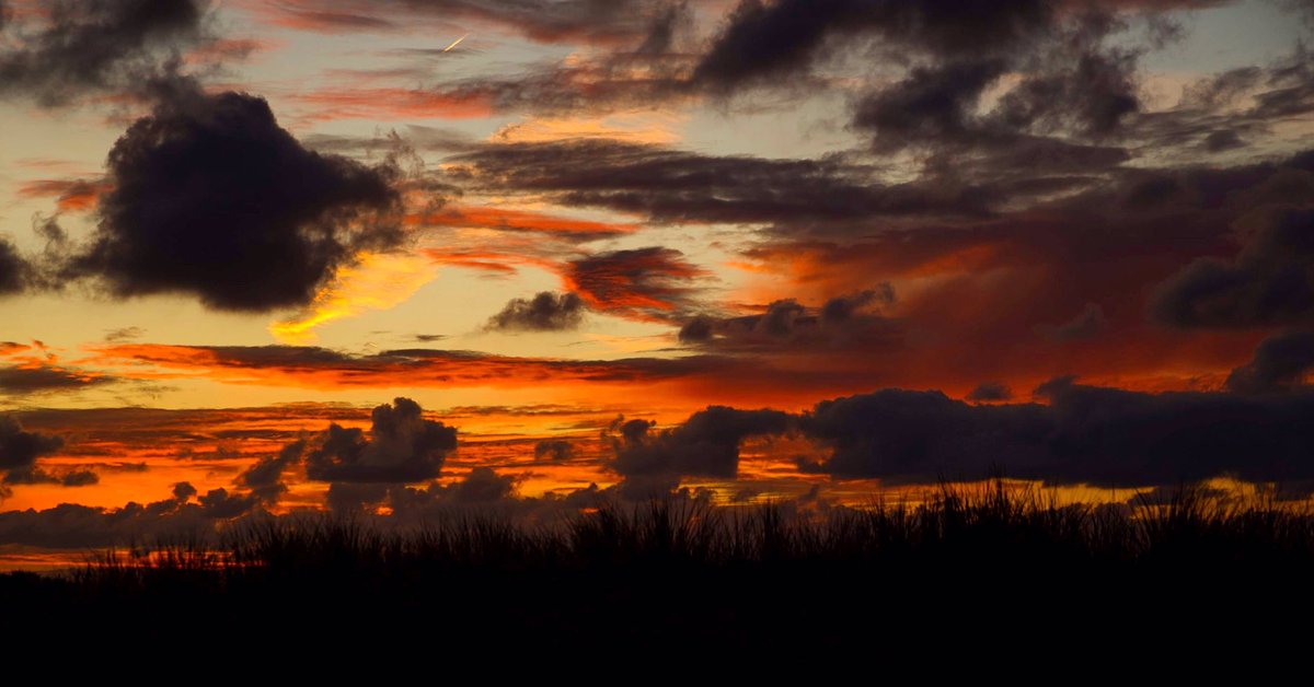 JanneHaapamaki's tweet photo. Have a great weekend! ☀️🌼
#haveagreatweekend #katwijk #sunsetphotography #dunes #sunsetlovers #instasky #skyphotography #katwijkaanzee #amazingsky #netherlands #nederland #taivaanvärit #nederländerna #sunsetcolors #sunsetsky #europeanphotography #landscape #colorsofnature #sky https://t.co/egT8tZQghp