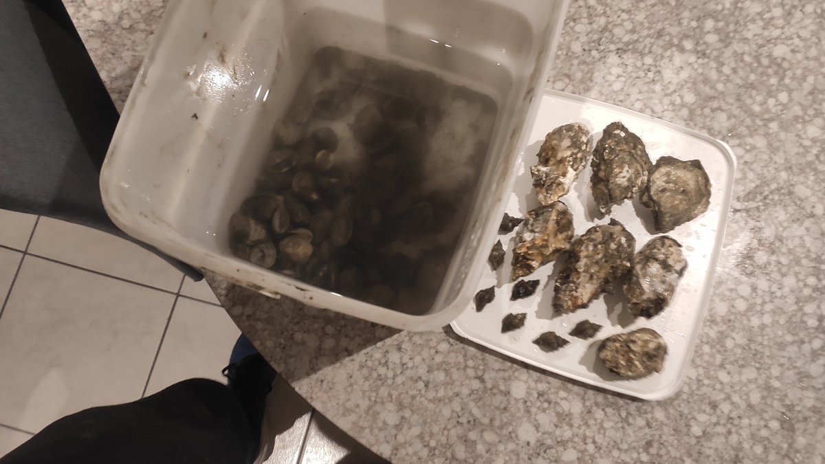 roselnoti's tweet photo. #pesca de #almejas 
Nada como #pescar lo que uno mismo va a #cocinar y #comer
#almejasalamarinera #producto #productofresco #km0 #mascarilla #mascarillaxtixmi #confinamiento https://t.co/4bUDByMFUP