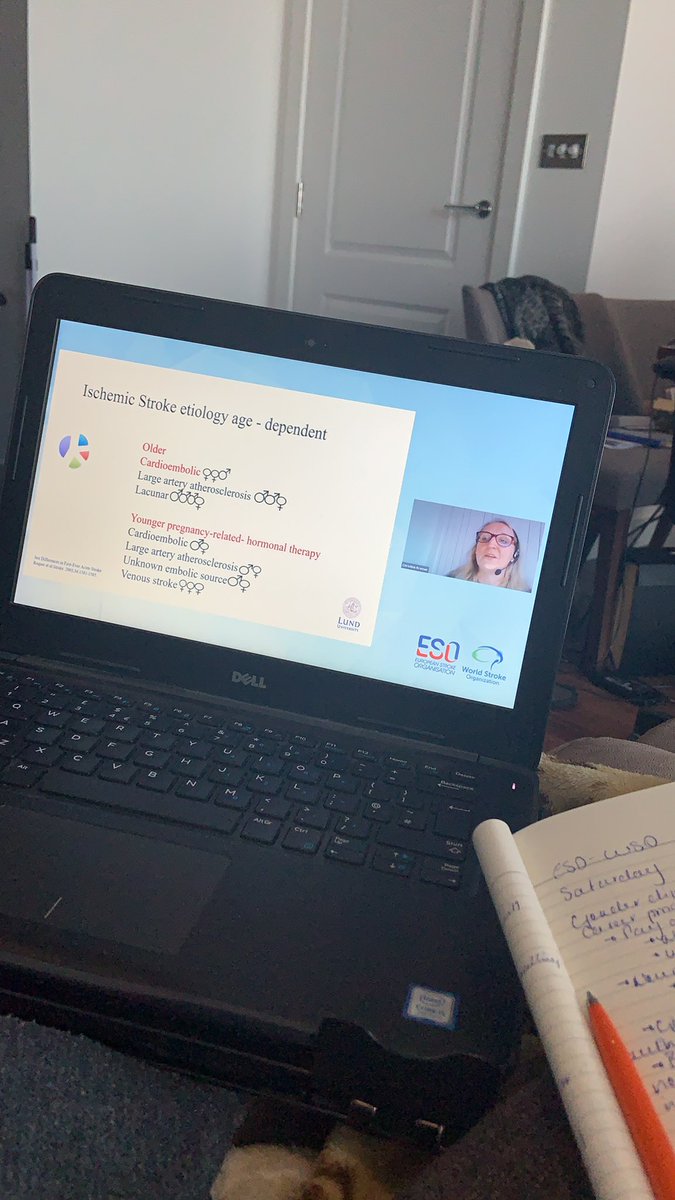LauraJPiercy's tweet photo. My first session of #ESOWSO2020 is gender differences in stroke. Currently hearing from Christine Kremer about gender differences in stroke subtypes, severity, risk factors &amp; recurrence. https://t.co/6bIVqClJOj