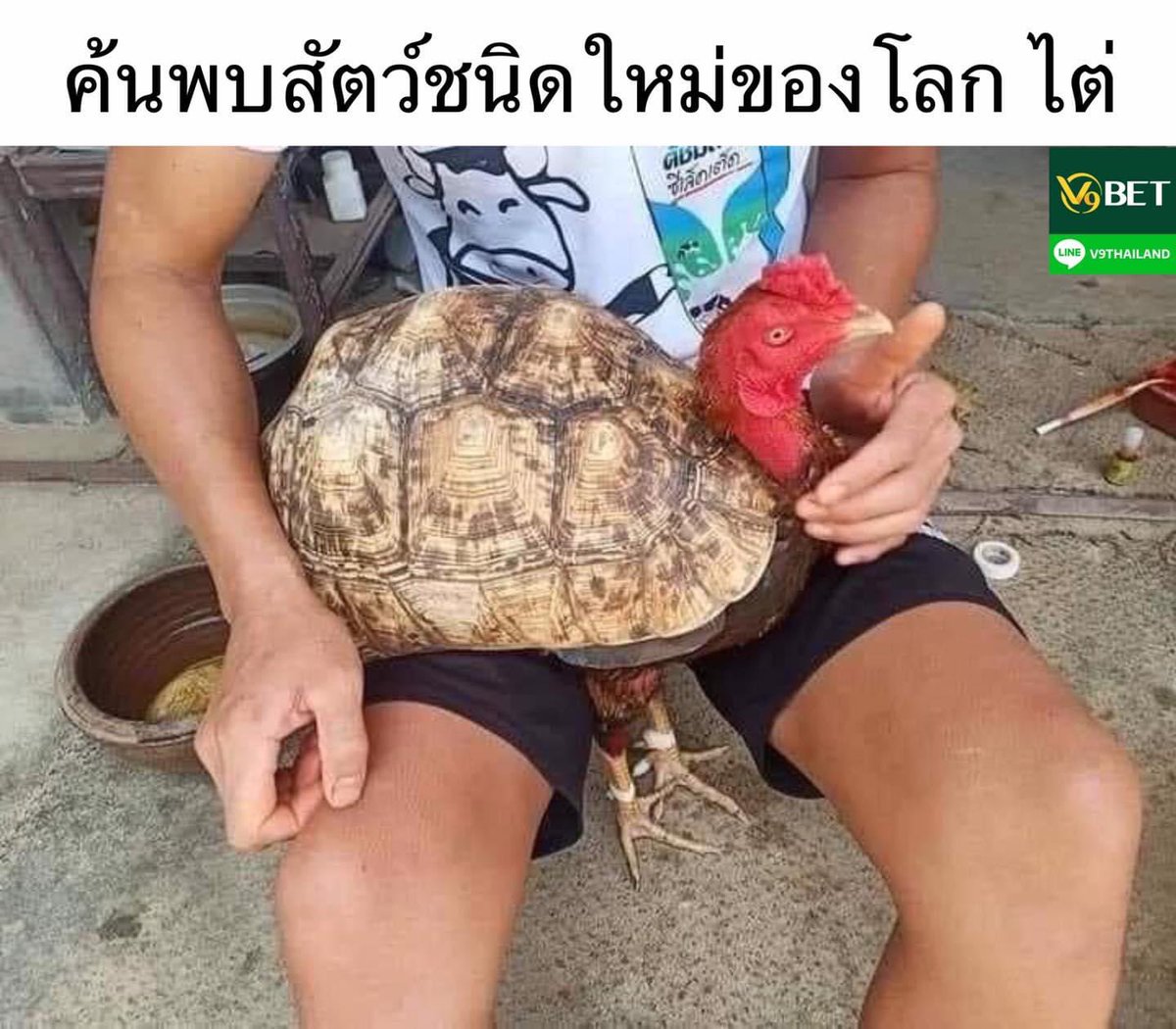 กำลังง่วงๆ ตื่นเลย
แมร่วเอ้ยยยยยยยย
55555555555555555555555
55555555555555555555