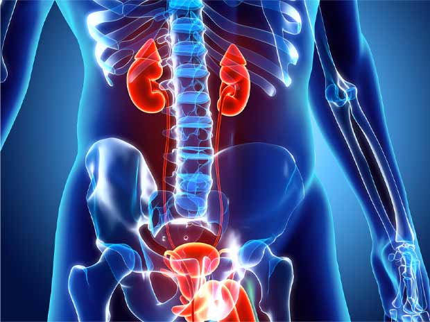 Rhabdomyosarcoma (RMS) of the Renal
Pelvis in a Child: A Case Report, To read complete article please click on the link given: bit.ly/36h6DGg