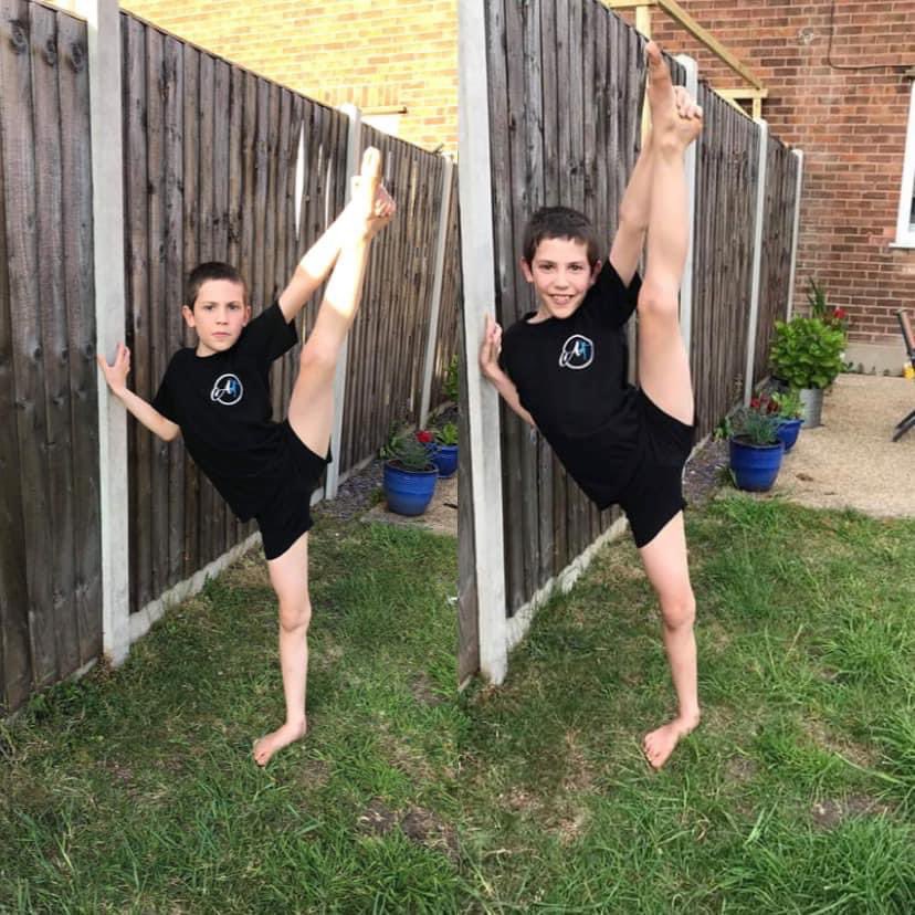 Avian Dance School tweet media