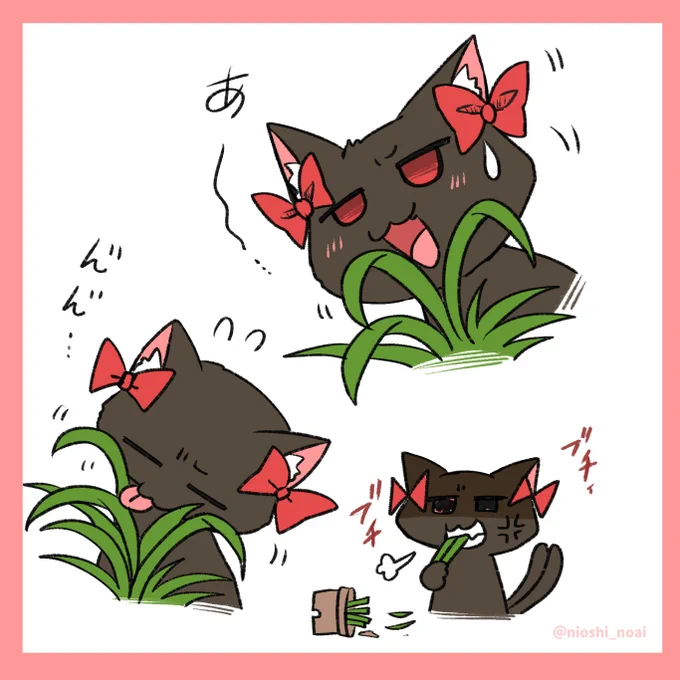 猫草を食べるのがヘタクソなお燐 
