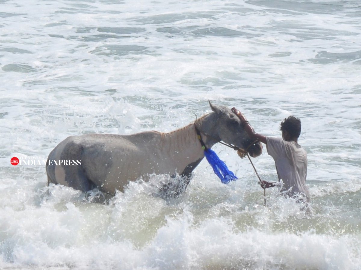 A keeper taming his #horse on the #beach in #Vizag. 

📸| @Gsn_tnie 

@NewIndianXpress #pets #animals #animaltraining