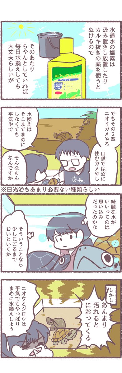 ニオイガメと水換えについて
#マンガが読めるハッシュタグ #カメ好きと繋がりたい 