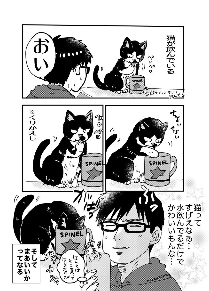 なんてことない猫日記。うちの猫なぜかわからんが割とこうやって飲む 