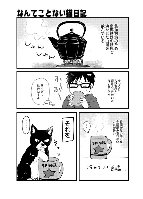 なんてことない猫日記。うちの猫なぜかわからんが割とこうやって飲む 