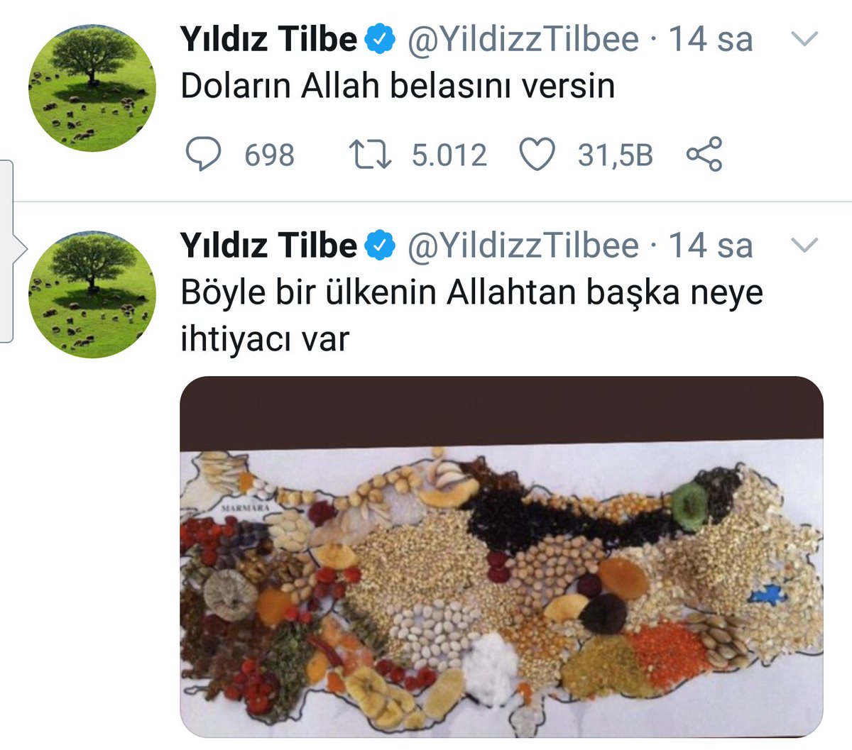 Bu kadının hastasıyım

#BizReisinNeferleri