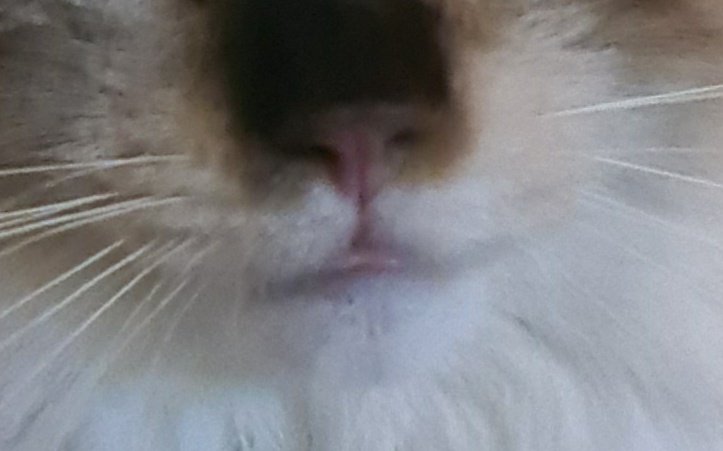 itsKaylaErin's tweet photo. WHAT YOU GOT THERE...???
OH!!!!????? https://t.co/ztDqPm0rd7