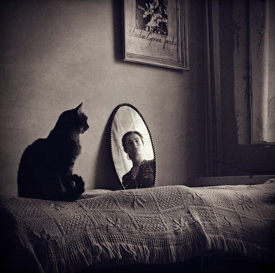rvoneinem tweet picture