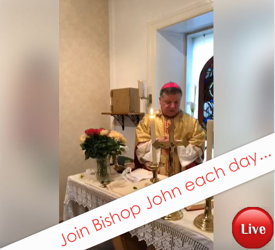 Join Bishop John LIVE each day to celebrate Holy Mass...
zcu.io/06P7