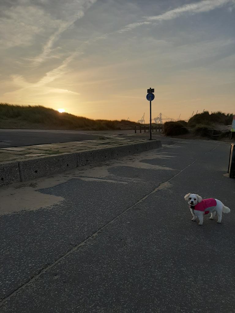 pollyprescott's tweet image. Negative for covid so sunrise beach walk. Got the results 20 hours after tested which I don&apos;t think is bad at all. If you are in Liverpool/eligible for the testing get in done. I want to have dinners with people and go back to football, don&apos;t you? #LetsGetTested #Liverpooltesting