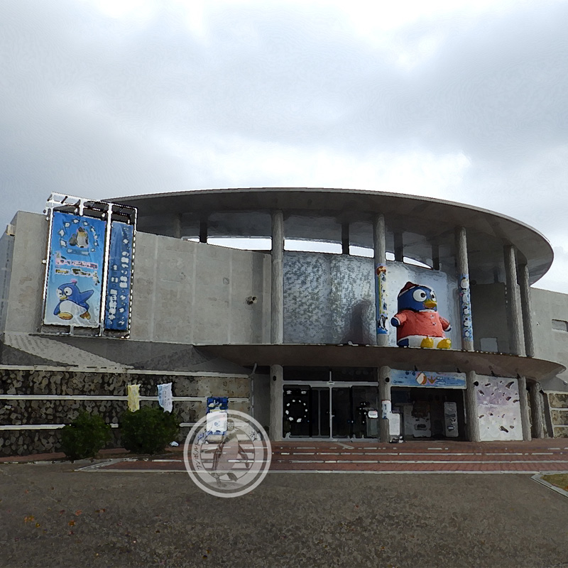 yanagomi's tweet photo. ■只今10時02分 ● #TobuTime ● #東武の時間 です■
本日は #東武動物公園 の #実家 こと「 #ペンギンの大地 」の #フンボルトペンギン 、 #りんご と #パッタイ が #長崎ペンギン水族館 へと旅立ちます。
長崎の醤油はとも角、魚介の美味さは保証します。
美味しいからって太りすぎないようにね! https://t.co/jps0Sgm71a
