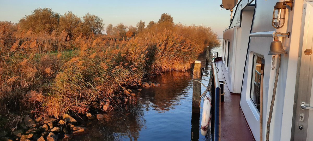 Ingela van MS Spes (@ingelaabbing) on Twitter photo 