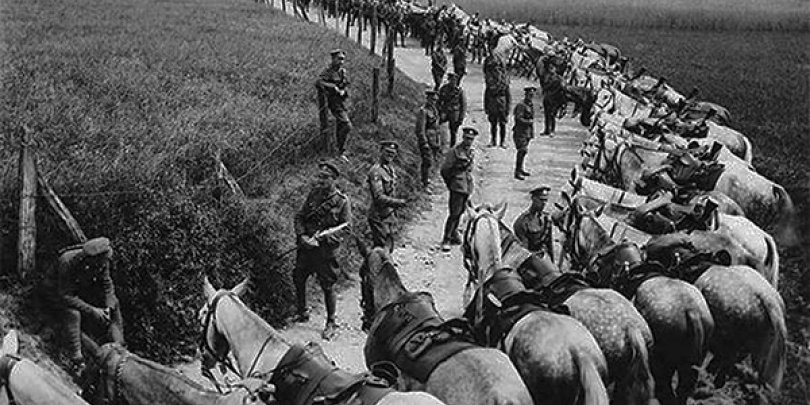 hodder_showcow's tweet image. #RemembranceDay #WeWillRememberThem @MA_PurplePoppy 
#warhorses
At the start of the war, the British Army had 25,000 horses.
Another 115,000 were purchased compulsorily 
Over the course of the war, between 500 and 1000 horses were shipped to Europe every day. 
1/1