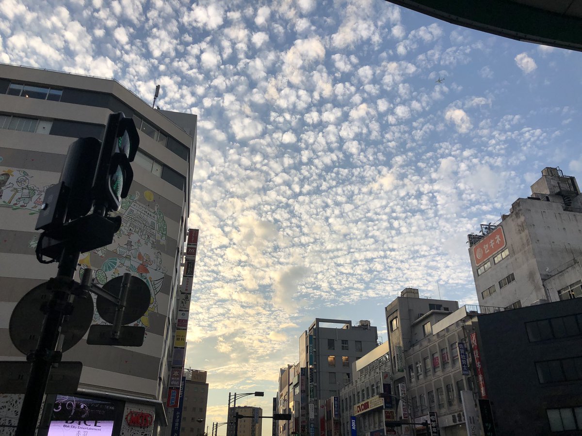 tyoki_kakko's tweet photo. #赤羽 https://t.co/88JR5tmmzM