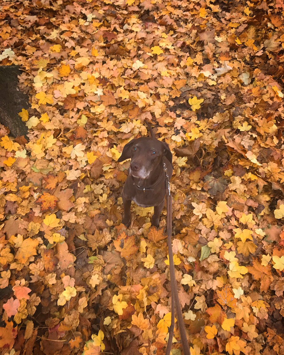 Autumnal Saturday morning in Kreuzberg