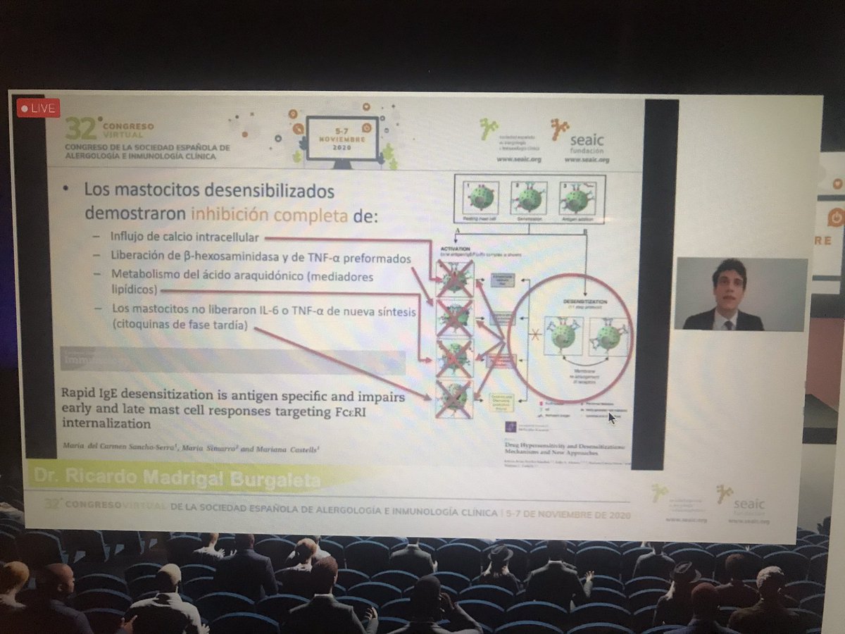 Gio02Giovanna's tweet image. Excelente charla de @MadrigalMDPhD hablando de los mecanismos inmunológicos en la desensibilización😎 #seaic2020 @AlergiaClinic