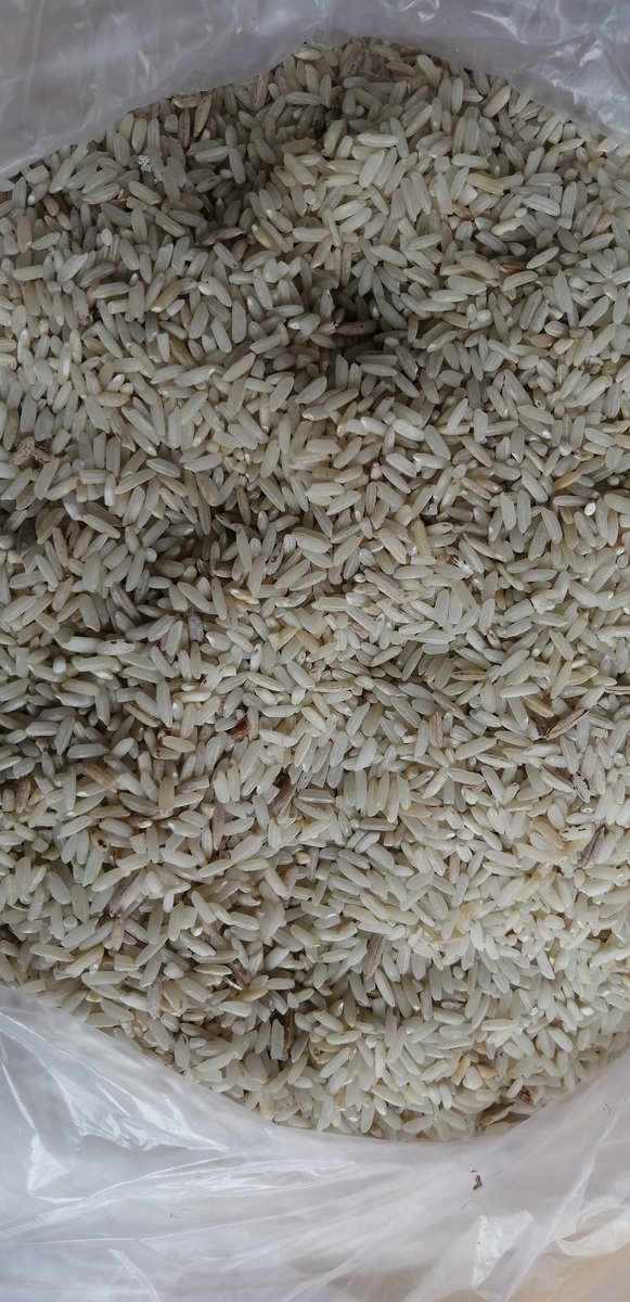 sanjeevjisk's tweet photo. गांव के स्कूलों में ऐसा राशन वितरण किया गया है यह मामला ग्राम अतरैला पंचायत पताई ब्लॉक गंगेव जिला रीवा का मामला है 
कृपया संज्ञान में लेते हुए उचित कार्यवाही करें 
@foodsuppliesmp @minprdd @rahulreports @ProjsRewa @RewaCollector @rewacommissione 
संलग्न :- फ़ोटो https://t.co/BcAanBl1qc