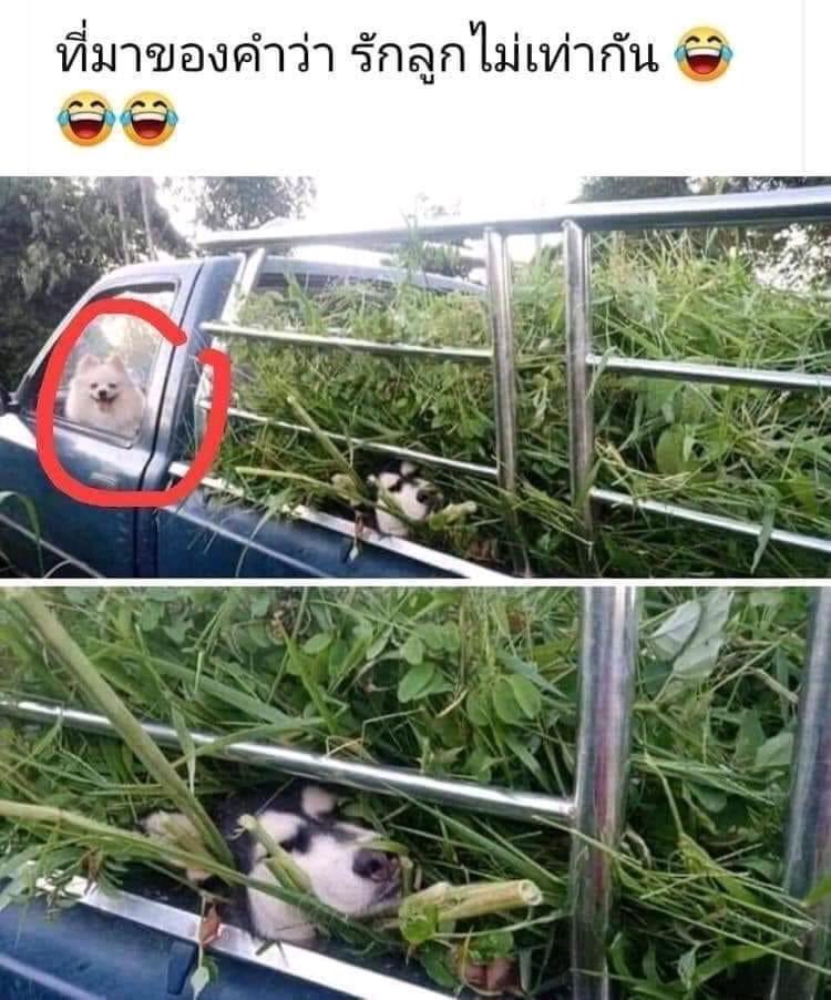 ทำไมฉันต้องมาทำงานหนักกกก 55555

เอ็นดู.