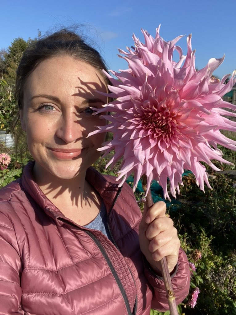 My little Allotment tweet media