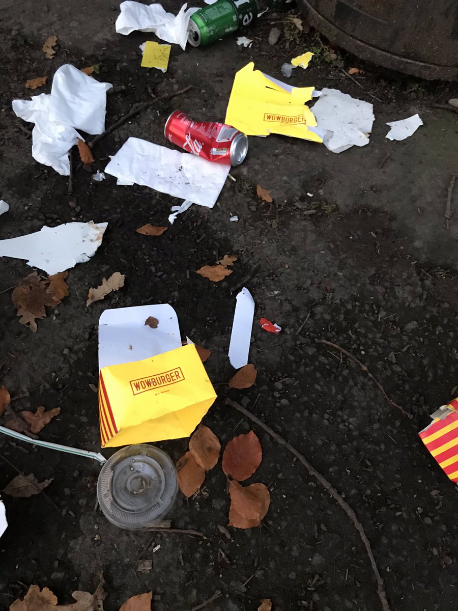 DeerparkLitter's tweet photo. We are seeing a large increase in litter from take aways during lockdown. The bins are small and the food boxes are too large to fit in. Can we work together to try to find a solution? @uniondublin @cllrbarrysaul @dlrcc #Unioncafe #Wowburger #deerpark #litter #Mountmerrion https://t.co/weg4mG6qrM