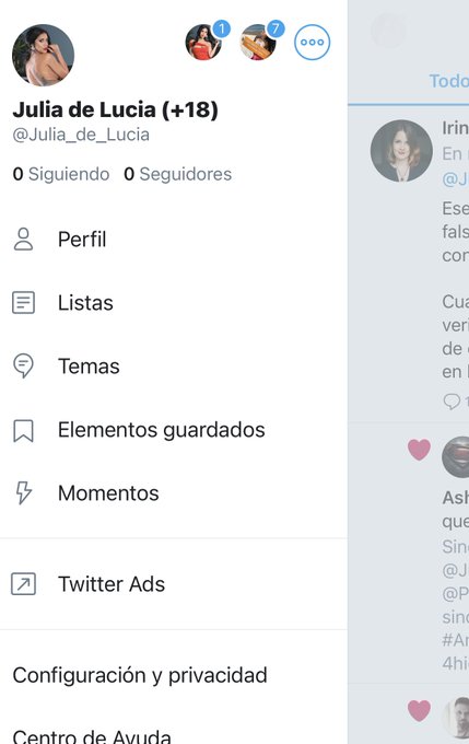 Yo puedo entrar en mi twiiter, pero est&aacute; suspendido Le escribo y mando formularios a twiiter, pero me