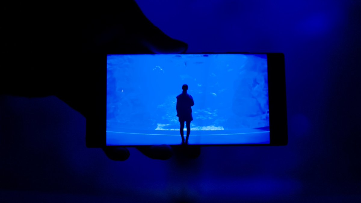 ryo_movielabo's tweet photo. 今年三度目の京都水族館
水族館撮影にも慣れてきたかな！

#京都水族館
#水族館photo
#BluePIC https://t.co/VTnK1Iur0K