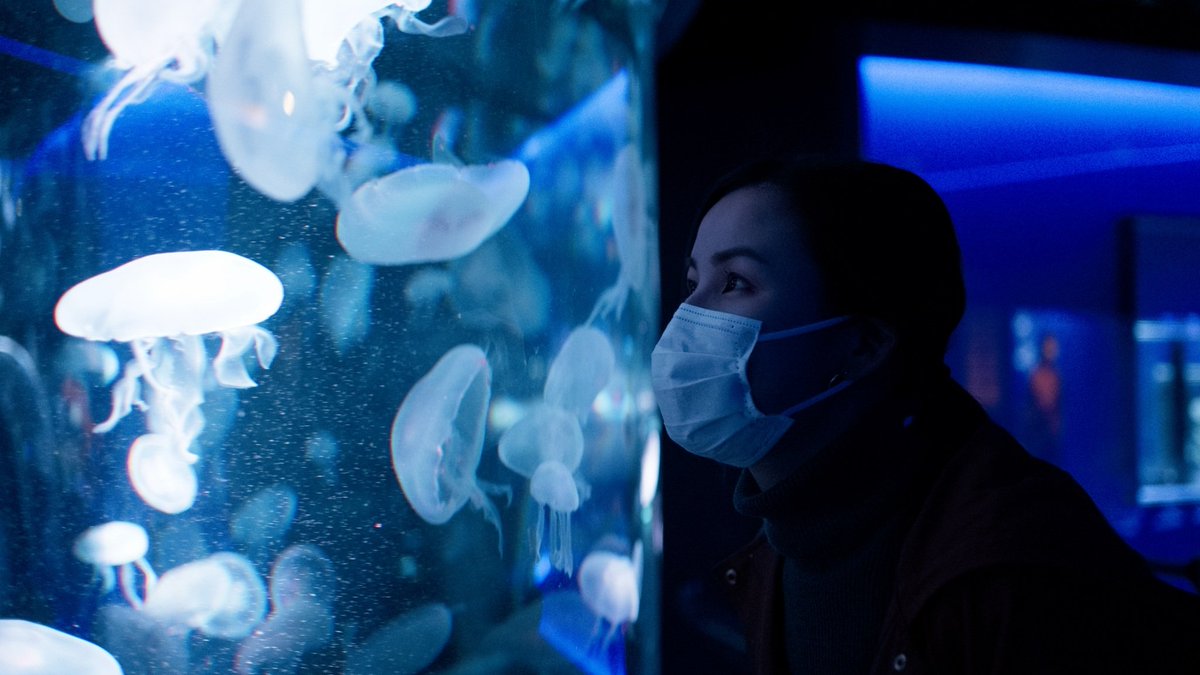 ryo_movielabo's tweet photo. 今年三度目の京都水族館
水族館撮影にも慣れてきたかな！

#京都水族館
#水族館photo
#BluePIC https://t.co/VTnK1Iur0K