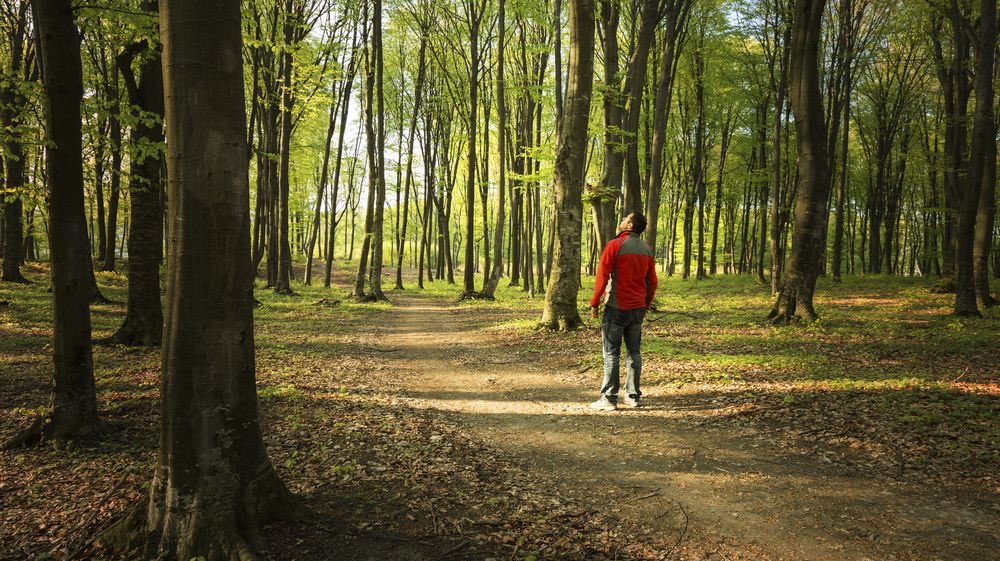 KulikovUNIATF's tweet photo. A walk on the wild side becomes more than just #exercise. People’s attachment to the wilderness can be explained by their basic psychological needs for autonomy, relatedness and competence. #MentalHealth https://t.co/QUHiQbOzEO https://t.co/dmL61OpAHI