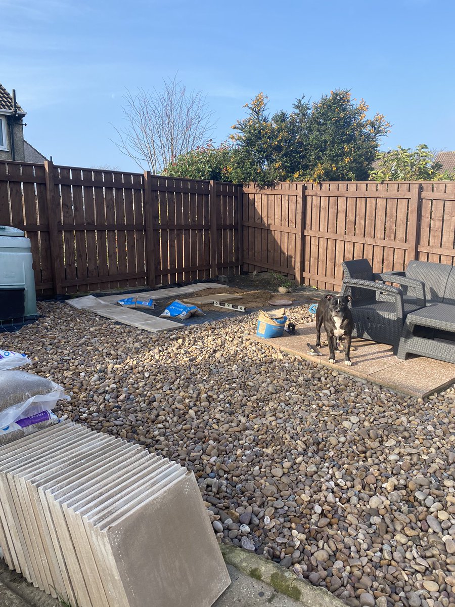 WeeYin_76's tweet photo. Time to build the office😬 obviously not all on my own... Ed’s helping😂 #Staffie #StaffieSaturday #LockdownGoals #NeedMyHeadRead 😂 https://t.co/lGBwTqHMwm