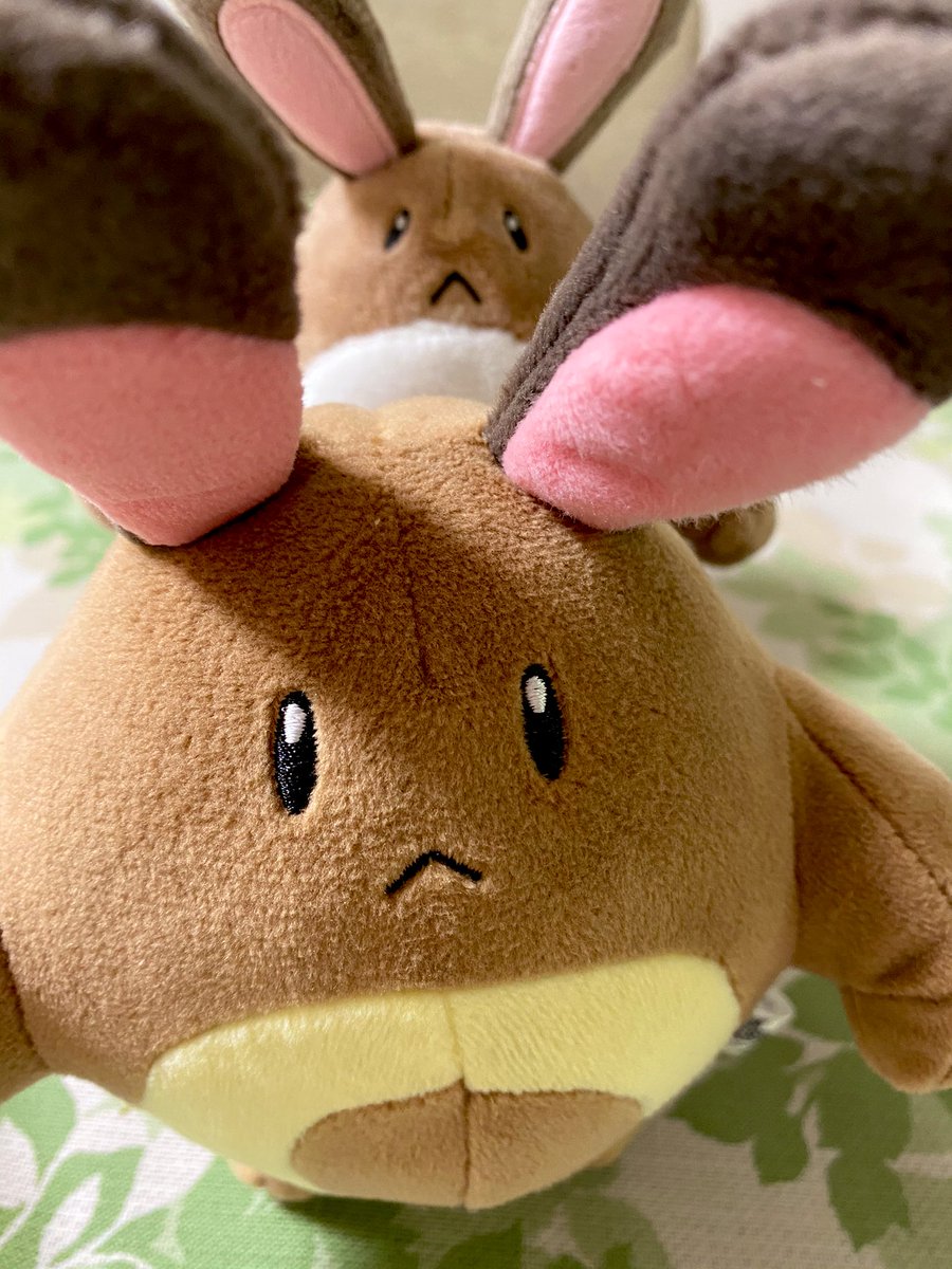 ジェネラル オオタチの方が小さくてたくさんいるのジワジワきます このオタチ腕がムキムキでありませんこと