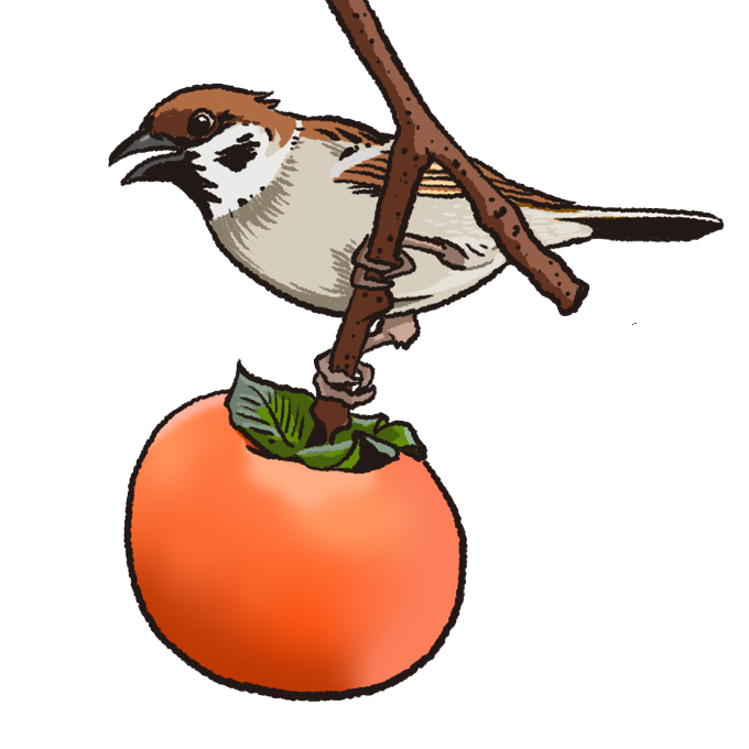 スズメのtwitterイラスト検索結果 古い順 スズメのtwitterイラスト検索結果 古い順
