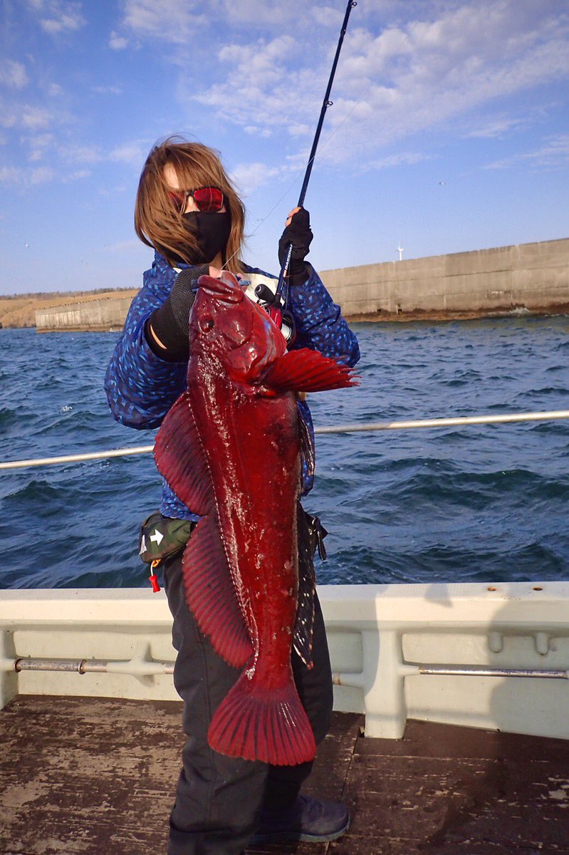 O Xrhsths もえぴ Sto Twitter ウサギアイナメですね まあアブラコです