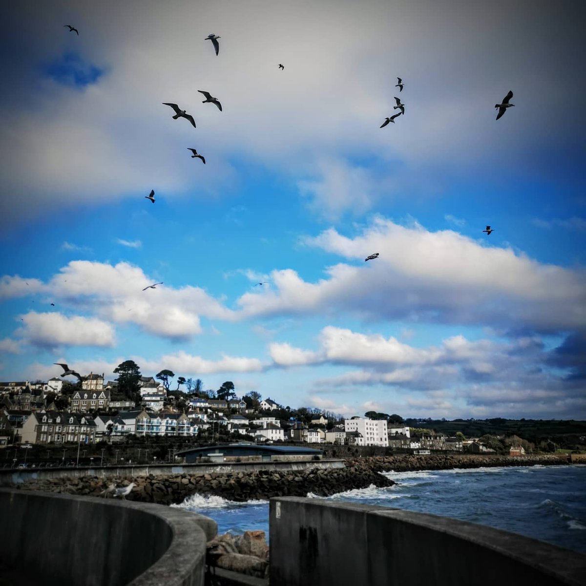 Enhance Heritage & Planning (@enhanceplanning) on Twitter photo Day 2/7 I've been nominated by <a href="/EventyMarketing/">Eventy Marketing</a> to share a pic a day for 7 days to illustrate my daily life. Today I nominate <a href="/Penryn_holidays/">Driftwood_Penryn_Cornwall</a> Copy these words and repeat the challenge. Let's see how far we go! #Lockdown2 #dailyexcercise #stayhealthy #penzance #mountsbay Day 2/7 I've been nominated by <a href="/EventyMarketing/">Eventy Marketing</a> to share a pic a day for 7 days to illustrate my daily life. Today I nominate <a href="/Penryn_holidays/">Driftwood_Penryn_Cornwall</a> Copy these words and repeat the challenge. Let's see how far we go! #Lockdown2 #dailyexcercise #stayhealthy #penzance #mountsbay