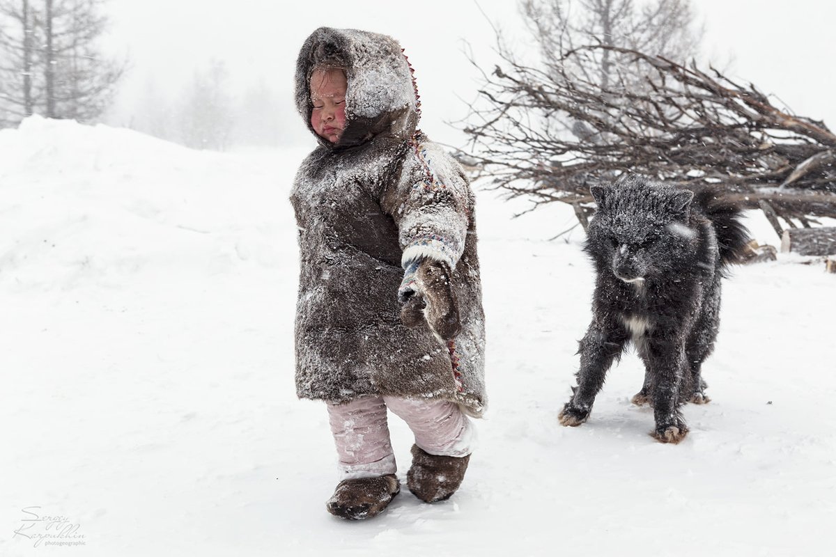 siberian_times's tweet photo. Bad weather did you say... children of the Yamal peninsula in pictures by photographer Sergey Karpukhin https://t.co/fgUlCB26Fz
