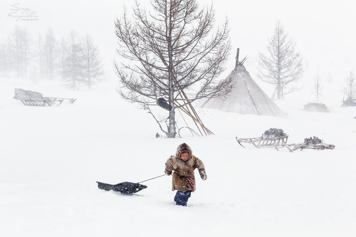 siberian_times's tweet photo. Bad weather did you say... children of the Yamal peninsula in pictures by photographer Sergey Karpukhin https://t.co/fgUlCB26Fz