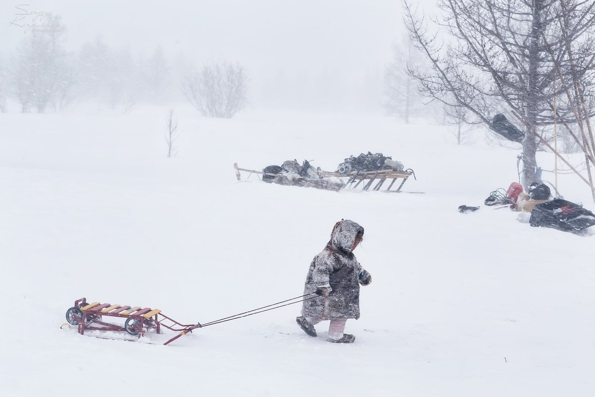 siberian_times's tweet photo. Bad weather did you say... children of the Yamal peninsula in pictures by photographer Sergey Karpukhin https://t.co/fgUlCB26Fz